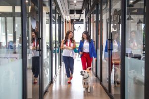 Revista Clave! - IMPAQTO