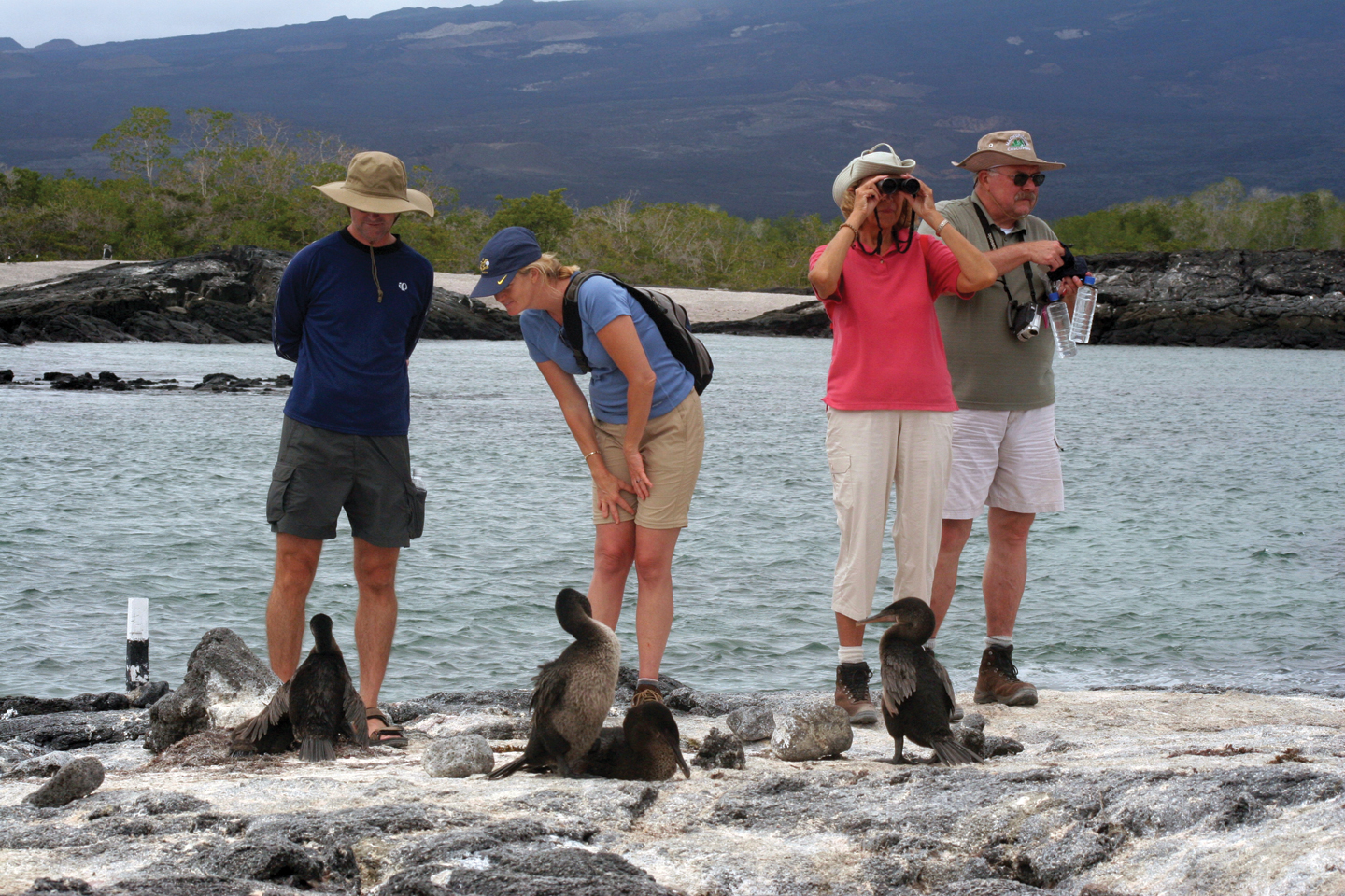 ¿Qué es el turismo científico en Ecuador y dónde se vive mejor esa experiencia?