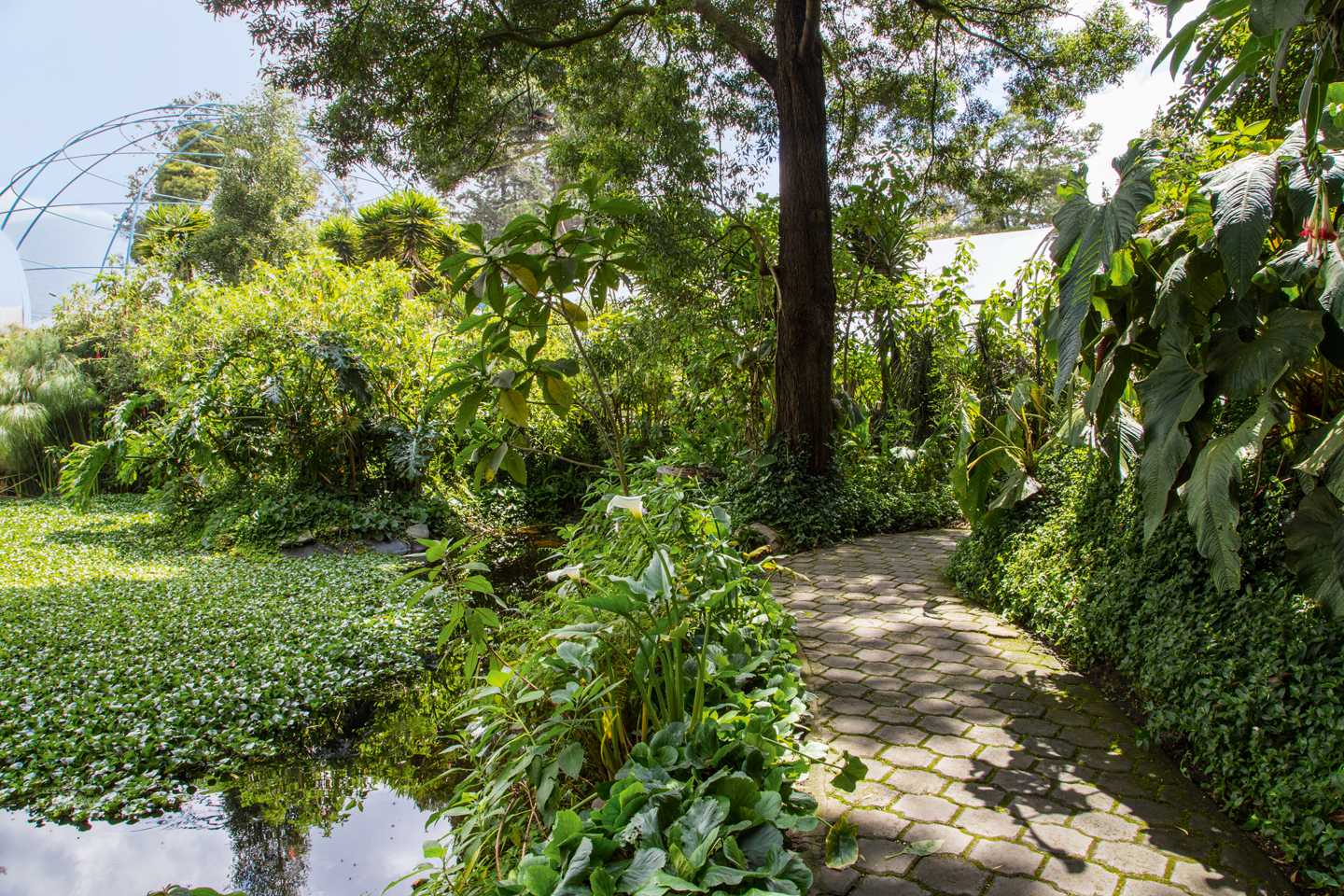 Jardín Botánico - Clave Turismo Ecuador