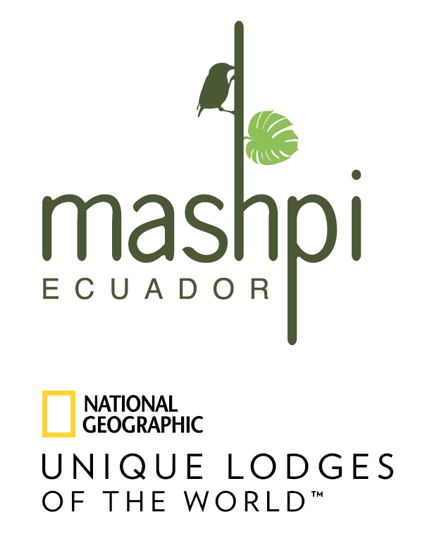 Mashpi Lodge - Clave Turismo