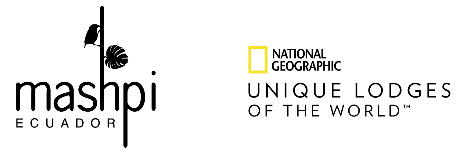 Mashpi Lodge - Revista CLAVE! Turismo