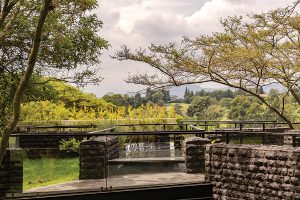 A1 Arquitectura Avanzada - Especial Arquitectos CLAVE 2022