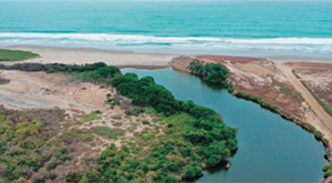 Inmoresort - Revista CLAVE! ed 111