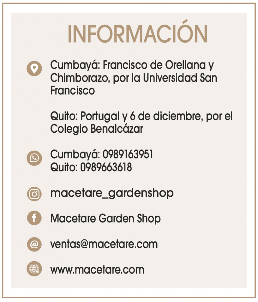 MACETARE - Revista CLAVE! Bienes Raíces Ecuador ed 112