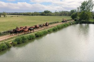 Burno Senillosa Yeguada Senillosa - Revista CLAVE Bienes Raíces Ecuador