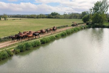 Burno Senillosa Yeguada Senillosa - Revista CLAVE Bienes Raíces Ecuador