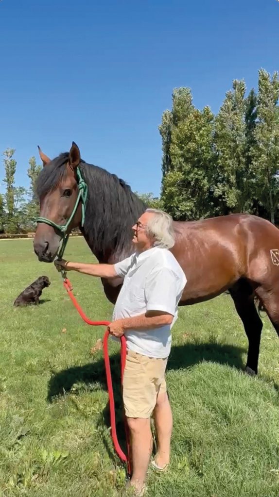 Burno Senillosa Yeguada Senillosa - Revista CLAVE Bienes Raíces Ecuador