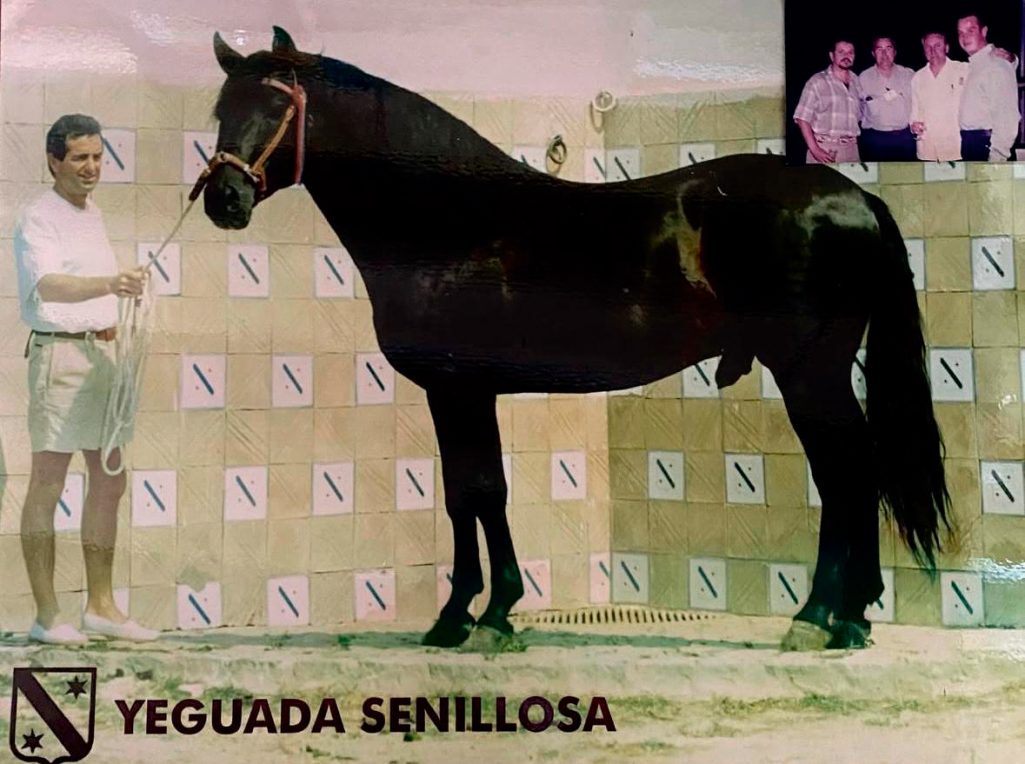 Burno Senillosa Yeguada Senillosa - Revista CLAVE Bienes Raíces Ecuador