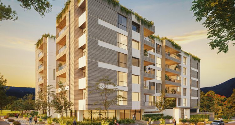 Hygge Comtrading - Revista CLAVE Bienes Raíces Ecuador