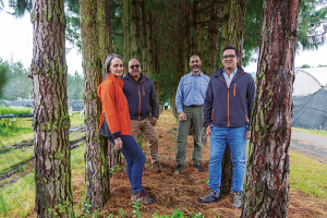 Aglomerados Cotopaxi - Revista CLAVE Bienes Raíces Ecuador
