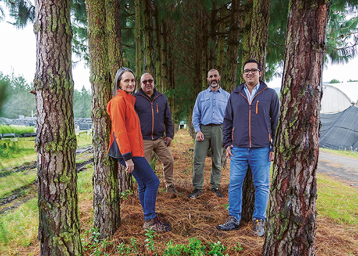 Aglomerados Cotopaxi - Revista CLAVE Bienes Raíces Ecuador