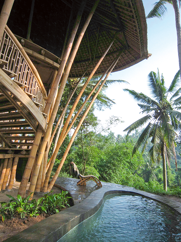 Bambú - Revista CLAVE Bienes Raíces Ecuador