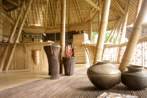 Bambú - Revista CLAVE Bienes Raíces Ecuador