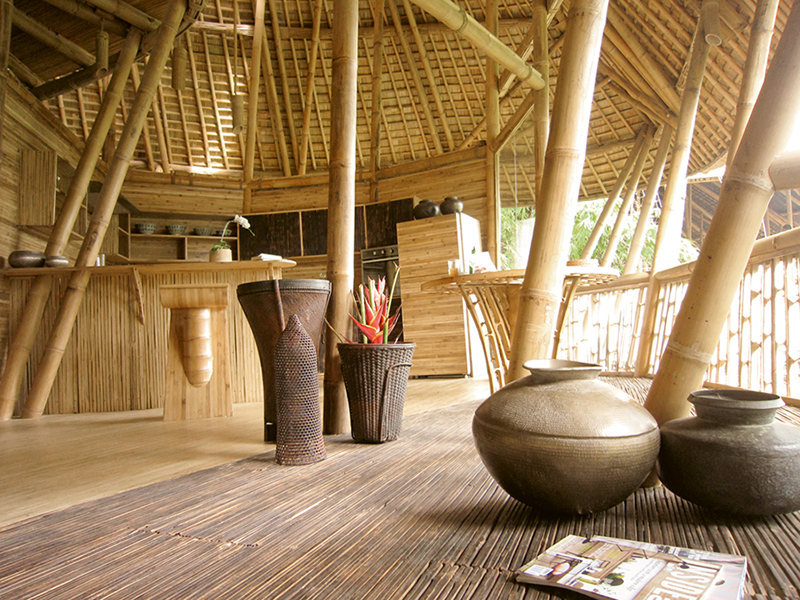 Bambú - Revista CLAVE Bienes Raíces Ecuador