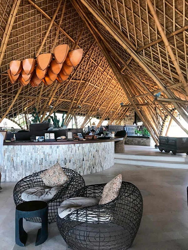 Bambú - Revista CLAVE Bienes Raíces Ecuador