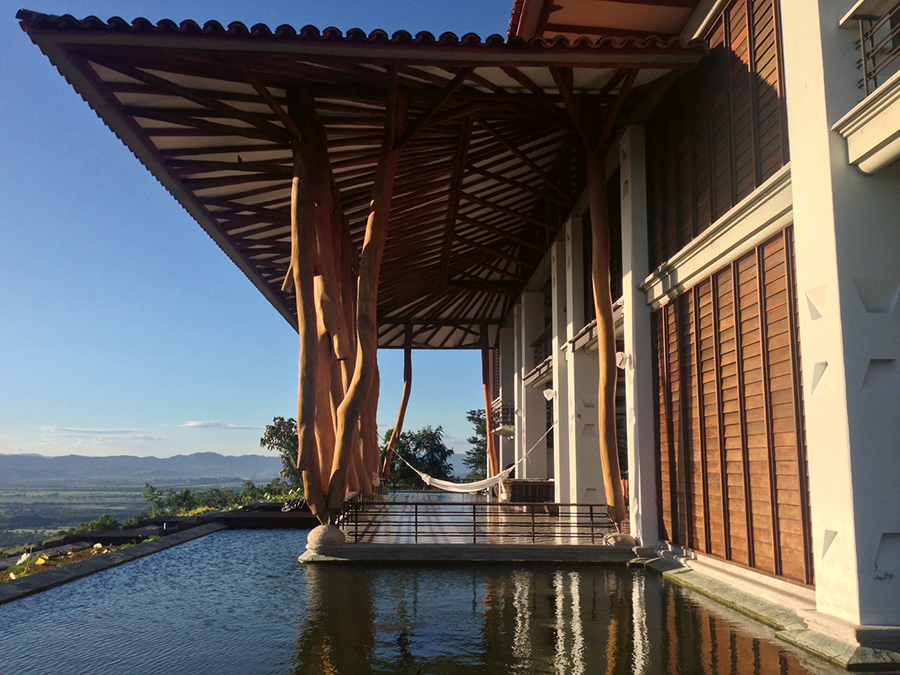 Bambú - Revista CLAVE Bienes Raíces Ecuador