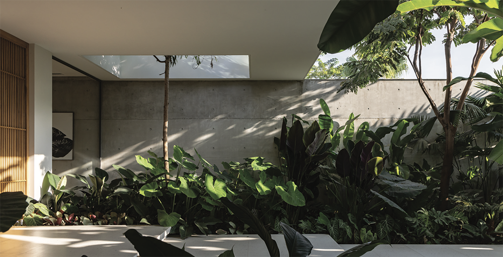 Intemperie Studio - Especial Arquitectos Ecuador 2026 - Revista CLAVE Bienes Raíces Ecuador